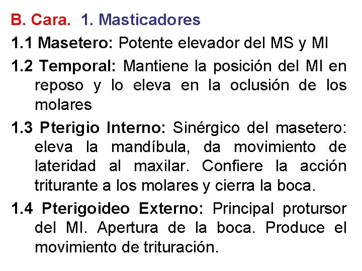 B. Cara. 1. Masticadores 1. 1 Masetero: Potente elevador del MS y MI 1.