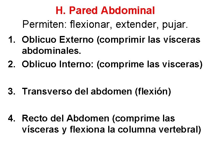 H. Pared Abdominal Permiten: flexionar, extender, pujar. 1. Oblicuo Externo (comprimir las vísceras abdominales.