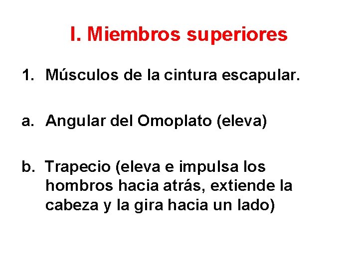 I. Miembros superiores 1. Músculos de la cintura escapular. a. Angular del Omoplato (eleva)