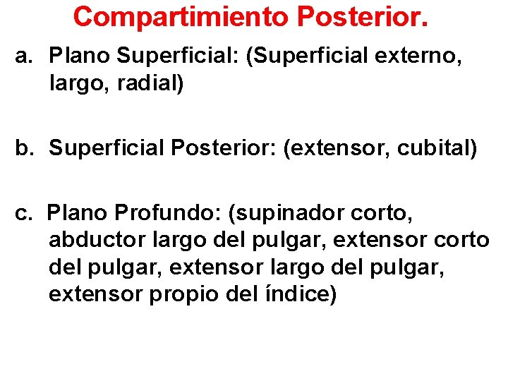 Compartimiento Posterior. a. Plano Superficial: (Superficial externo, largo, radial) b. Superficial Posterior: (extensor, cubital)