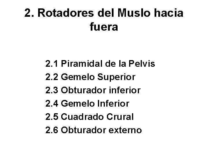 2. Rotadores del Muslo hacia fuera 2. 1 Piramidal de la Pelvis 2. 2