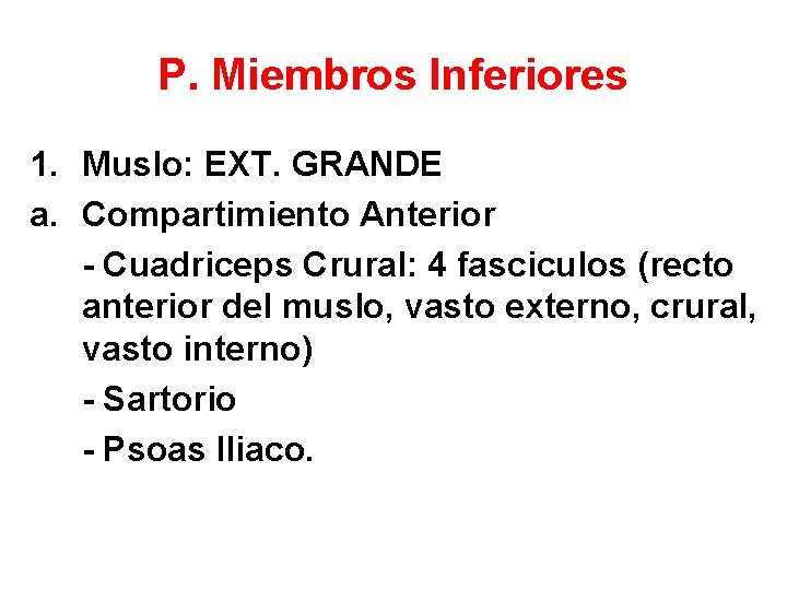 P. Miembros Inferiores 1. Muslo: EXT. GRANDE a. Compartimiento Anterior - Cuadriceps Crural: 4