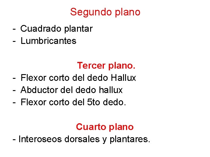 Segundo plano - Cuadrado plantar - Lumbricantes Tercer plano. - Flexor corto del dedo