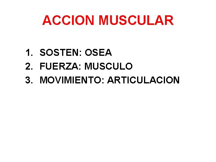 ACCION MUSCULAR 1. SOSTEN: OSEA 2. FUERZA: MUSCULO 3. MOVIMIENTO: ARTICULACION 