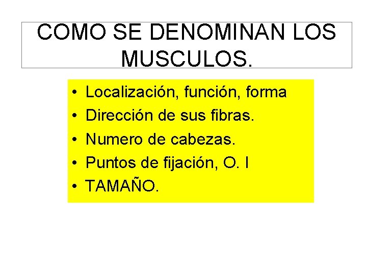 COMO SE DENOMINAN LOS MUSCULOS. • • • Localización, función, forma Dirección de sus