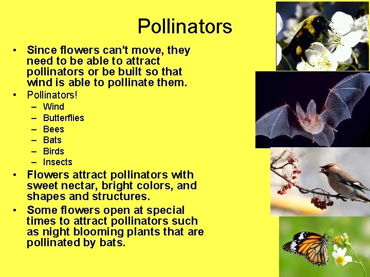 Pollinators • Since flowers can't move, they need to be able to attract pollinators