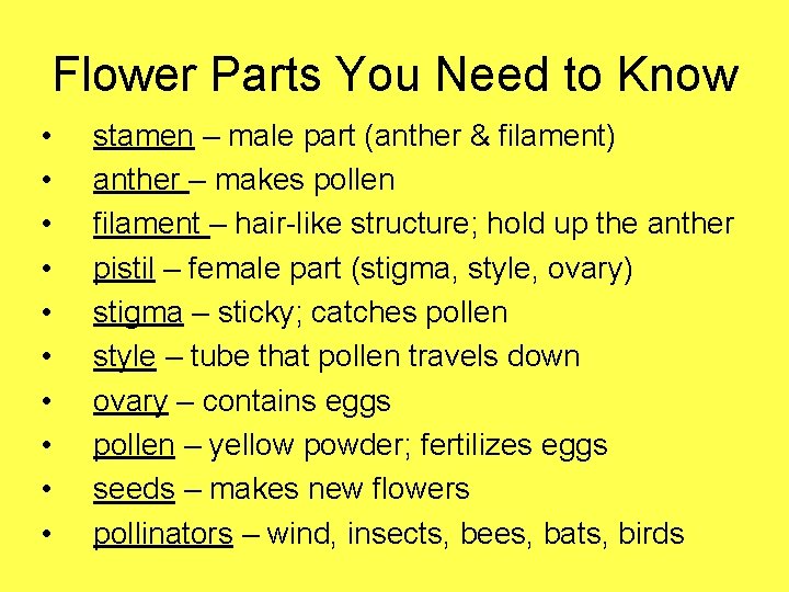 Flower Parts You Need to Know • • • stamen – male part (anther