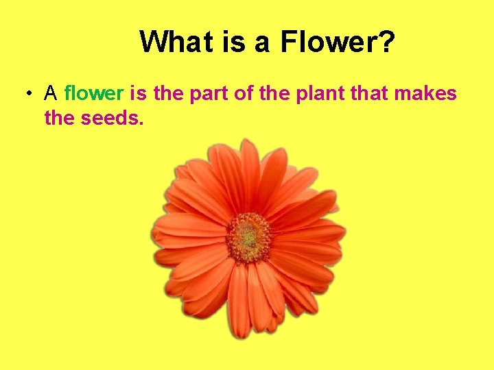 What is a Flower? • A flower is the part of the plant that