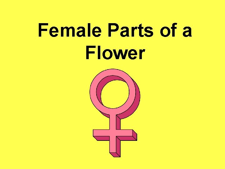 Female Parts of a Flower 