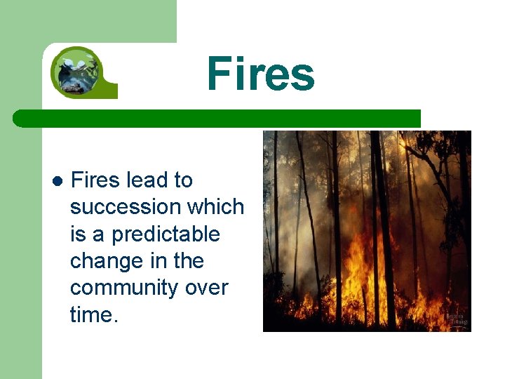 Fires lead to succession which is a predictable change in the community over time.