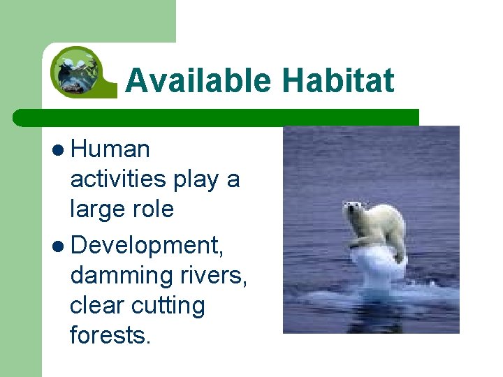 Available Habitat l Human activities play a large role l Development, damming rivers, clear