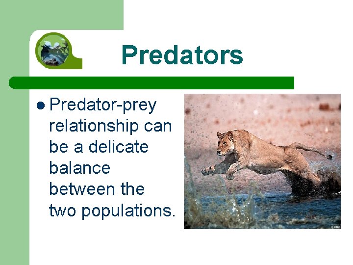 Predators l Predator-prey relationship can be a delicate balance between the two populations. 