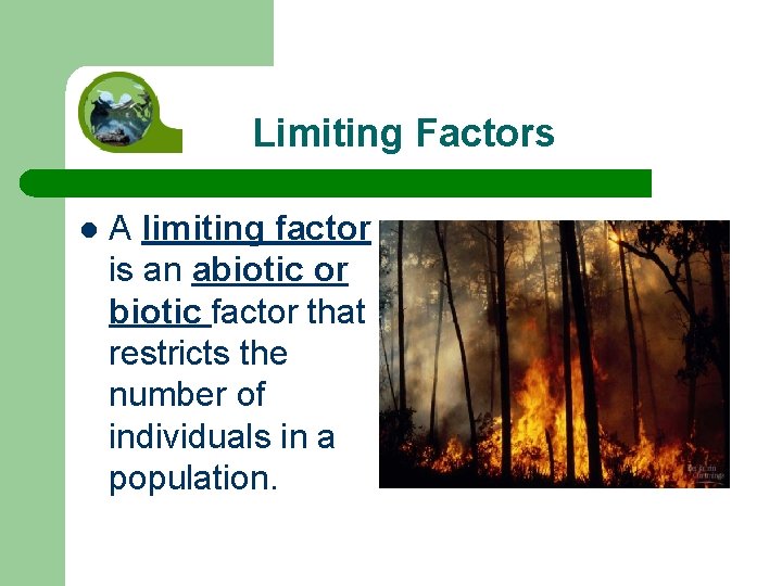 Limiting Factors l A limiting factor is an abiotic or biotic factor that restricts