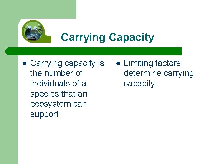 Carrying Capacity l Carrying capacity is the number of individuals of a species that