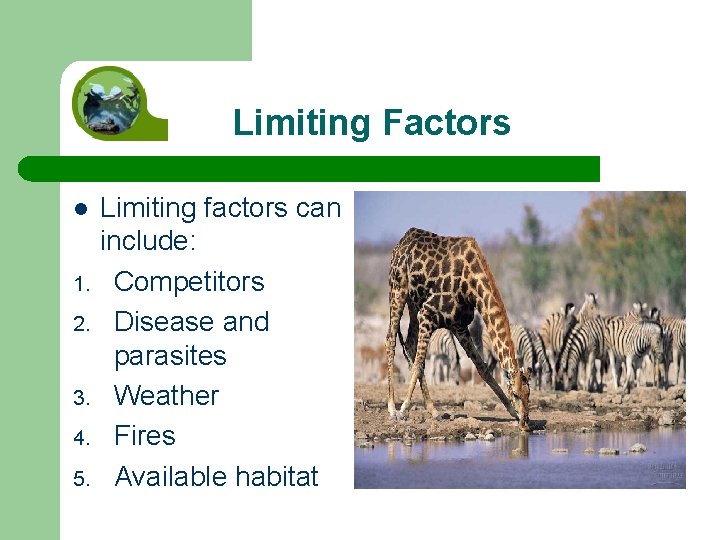 Limiting Factors l 1. 2. 3. 4. 5. Limiting factors can include: Competitors Disease