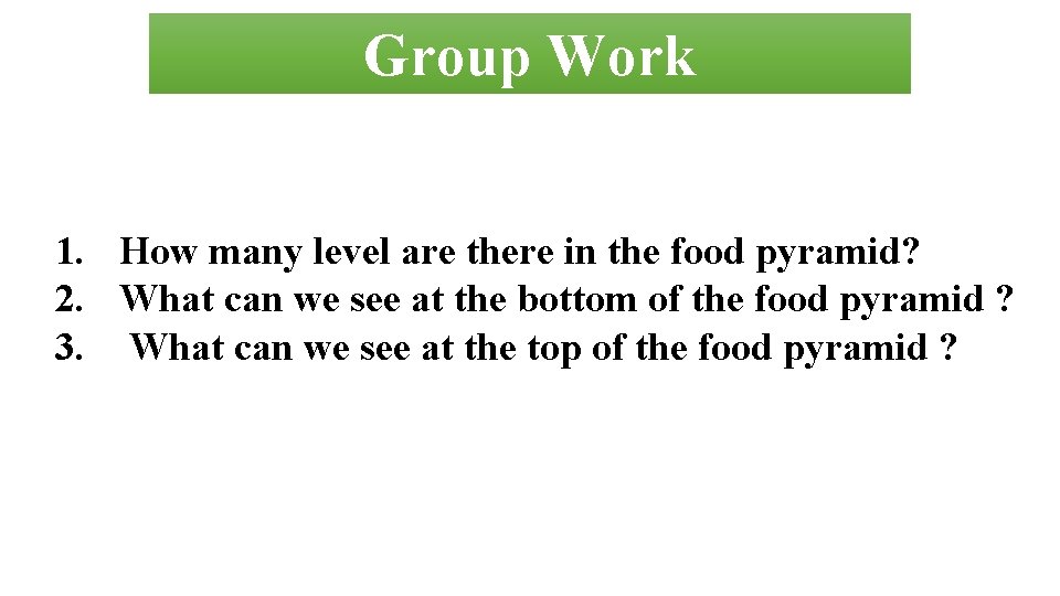 Group Work 1. How many level are there in the food pyramid? 2. What