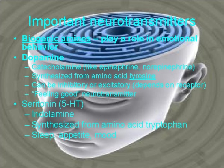 Important neurotransmitters • Biogenic amines – play a role in emotional behavior • Dopamine