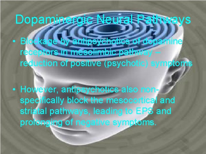 Dopaminergic Neural Pathways • Blockage by antipsychotics of dopamine receptors in mesolimbic pathway –