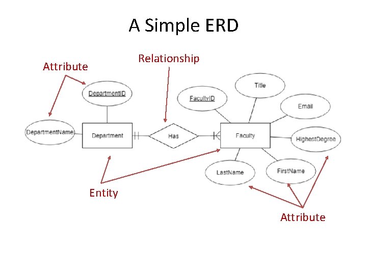 A Simple ERD Relationship Attribute Entity Attribute 