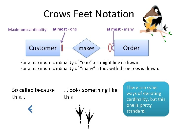 Crows Feet Notation For a maximum cardinality of “one” a straight line is drawn.