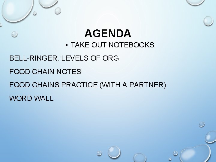 AGENDA • TAKE OUT NOTEBOOKS BELL-RINGER: LEVELS OF ORG FOOD CHAIN NOTES FOOD CHAINS