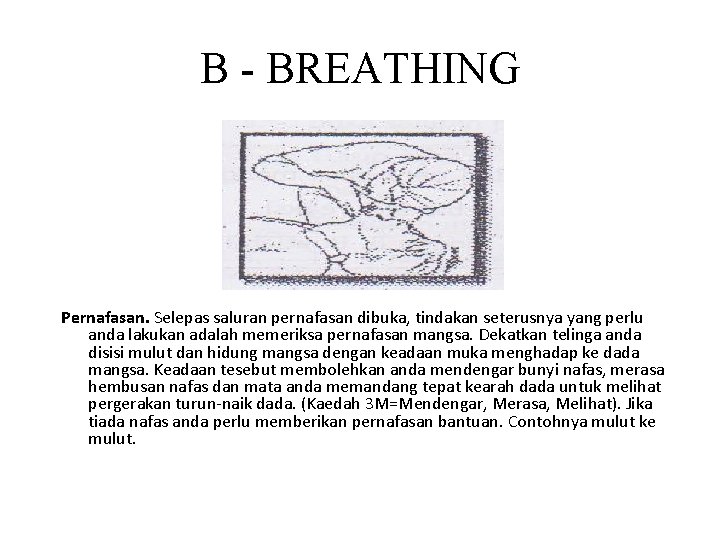 B - BREATHING Pernafasan. Selepas saluran pernafasan dibuka, tindakan seterusnya yang perlu anda lakukan