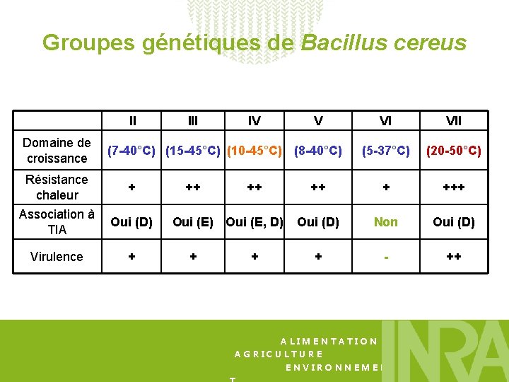 Groupes génétiques de Bacillus cereus II Domaine de croissance III IV V VI VII