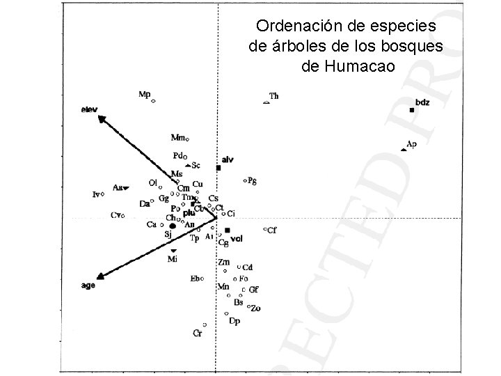 Ordenación de especies de árboles de los bosques de Humacao 