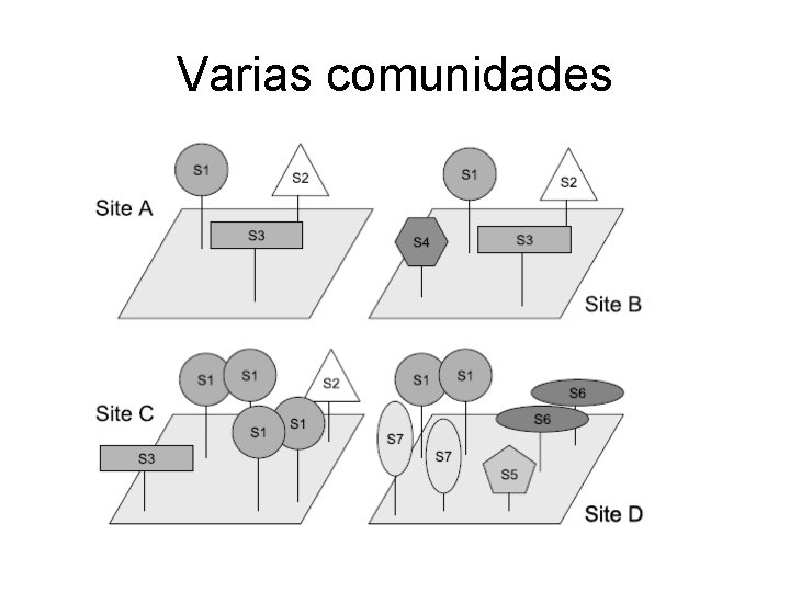 Varias comunidades 