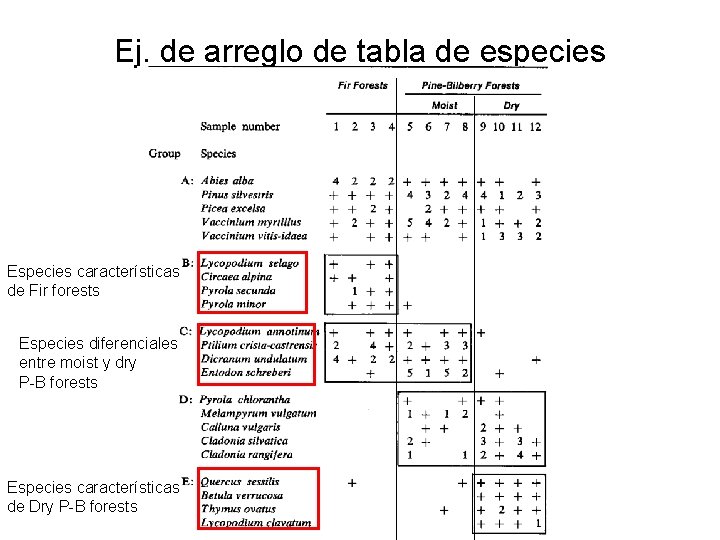 Ej. de arreglo de tabla de especies Especies características de Fir forests Especies diferenciales