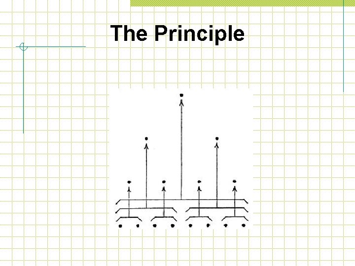 The Principle 