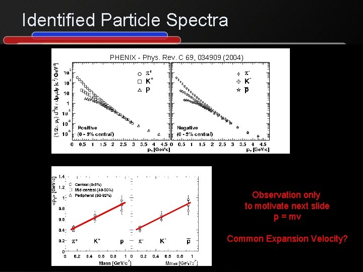 Identified Particle Spectra PHENIX - Phys. Rev. C 69, 034909 (2004) Observation only to