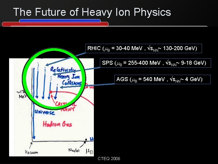 The Future of Heavy Ion Physics RHIC (m. B = 30 -40 Me. V