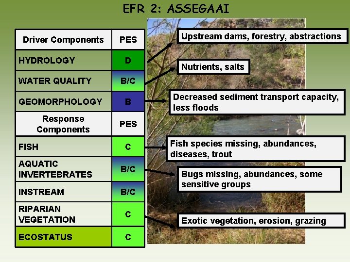 EFR 2: ASSEGAAI Driver Components HYDROLOGY WATER QUALITY GEOMORPHOLOGY Response Components FISH PES D