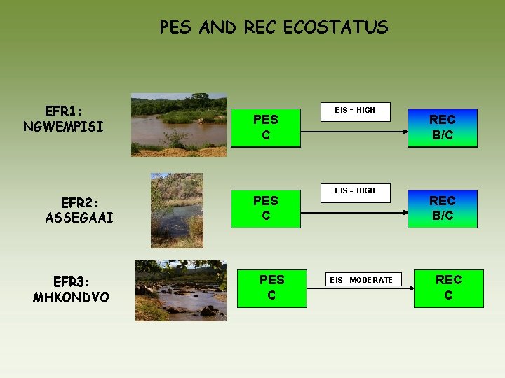 PES AND REC ECOSTATUS EFR 1: NGWEMPISI EFR 2: ASSEGAAI EFR 3: MHKONDVO PES