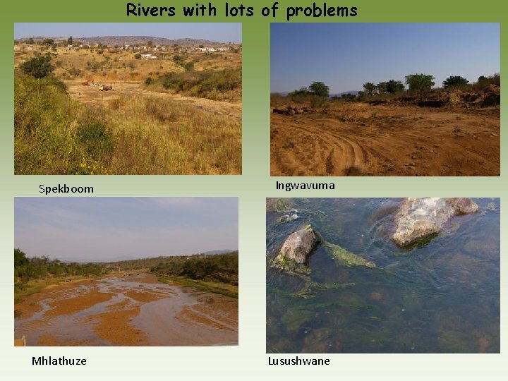 Rivers with lots of problems Spekboom Mhlathuze Ingwavuma Lusushwane 