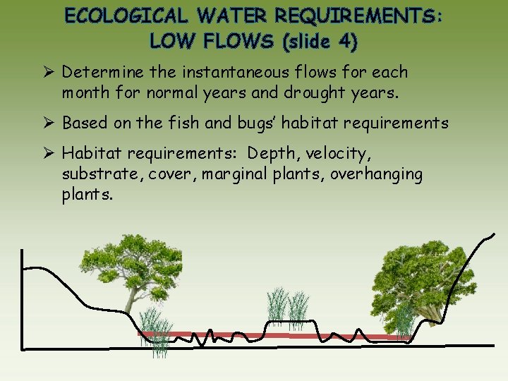 ECOLOGICAL WATER REQUIREMENTS: LOW FLOWS (slide 4) Ø Determine the instantaneous flows for each