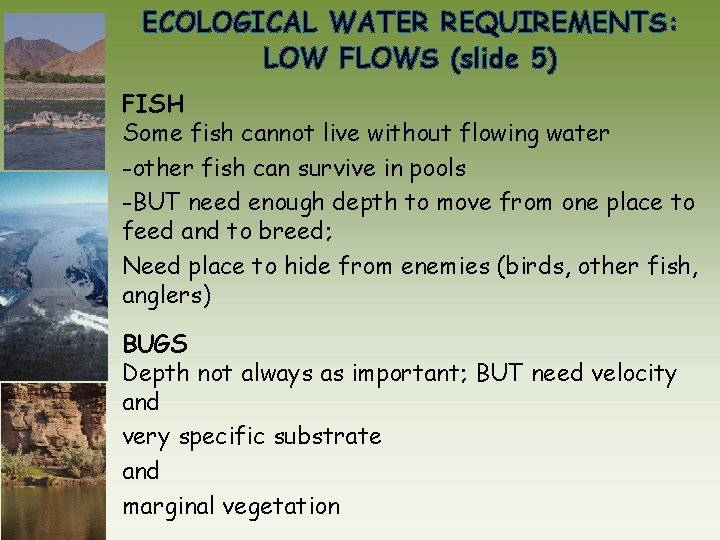 ECOLOGICAL WATER REQUIREMENTS: LOW FLOWS (slide 5) FISH Some fish cannot live without flowing
