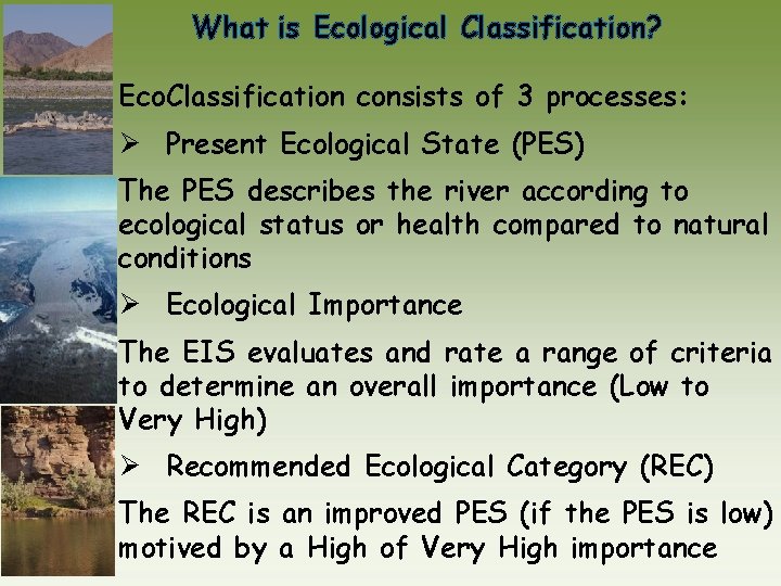 What is Ecological Classification? Eco. Classification consists of 3 processes: Ø Present Ecological State