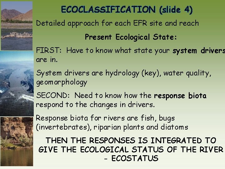 ECOCLASSIFICATION (slide 4) Detailed approach for each EFR site and reach Present Ecological State: