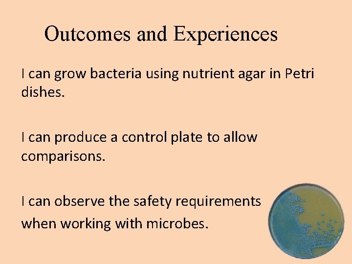 Outcomes and Experiences I can grow bacteria using nutrient agar in Petri dishes. I