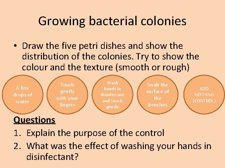 Growing bacterial colonies • Draw the five petri dishes and show the distribution of