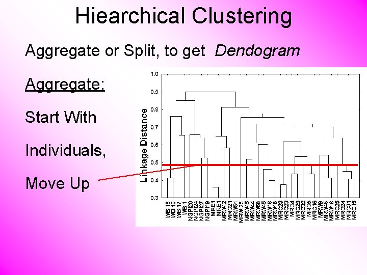 Hiearchical Clustering Aggregate or Split, to get Dendogram Aggregate: Start With Individuals, Move Up