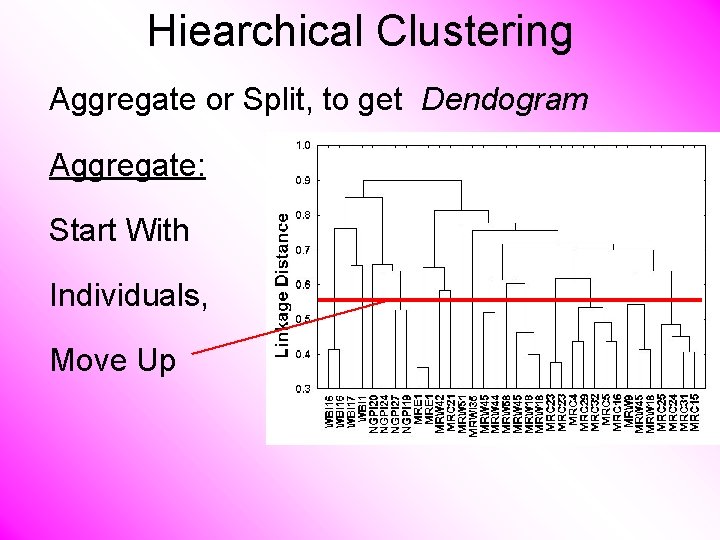 Hiearchical Clustering Aggregate or Split, to get Dendogram Aggregate: Start With Individuals, Move Up