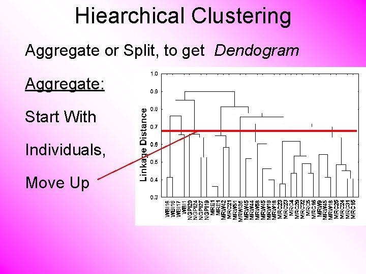 Hiearchical Clustering Aggregate or Split, to get Dendogram Aggregate: Start With Individuals, Move Up