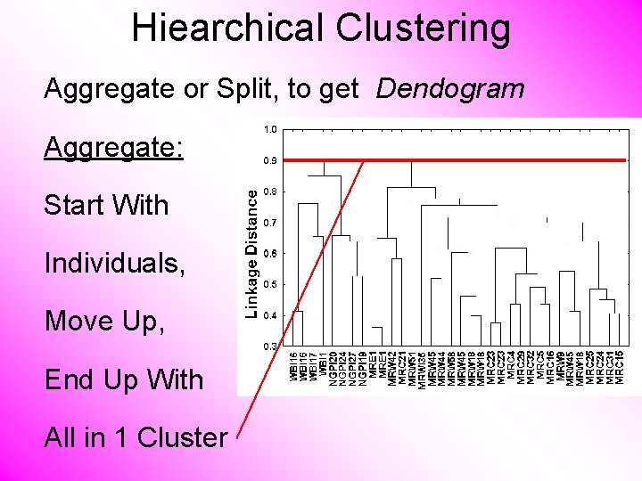Hiearchical Clustering Aggregate or Split, to get Dendogram Aggregate: Start With Individuals, Move Up,