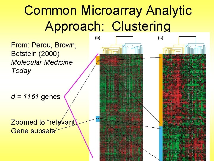 Common Microarray Analytic Approach: Clustering From: Perou, Brown, Botstein (2000) Molecular Medicine Today d