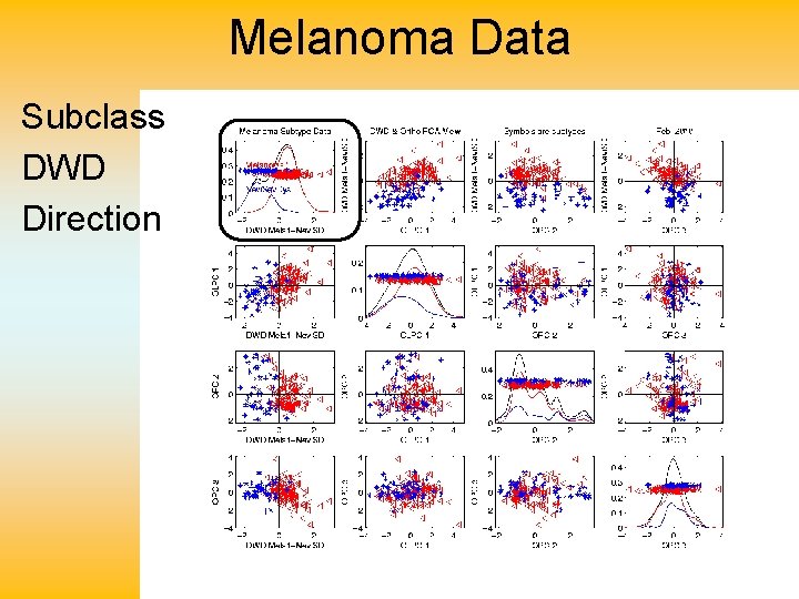 Melanoma Data Subclass DWD Direction 