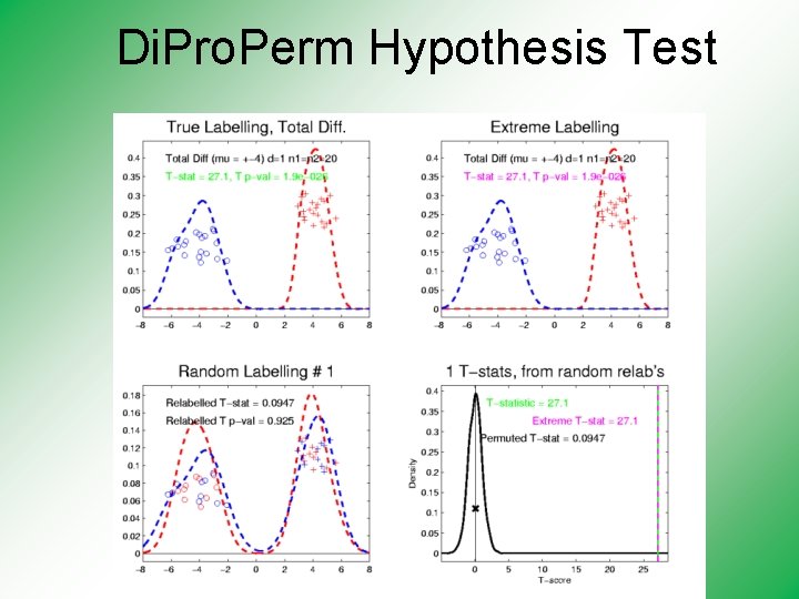 Di. Pro. Perm Hypothesis Test 