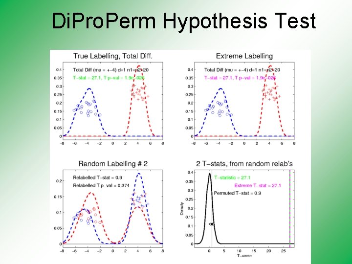 Di. Pro. Perm Hypothesis Test 